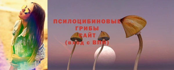 бутират Белокуриха