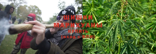 бутират Белокуриха