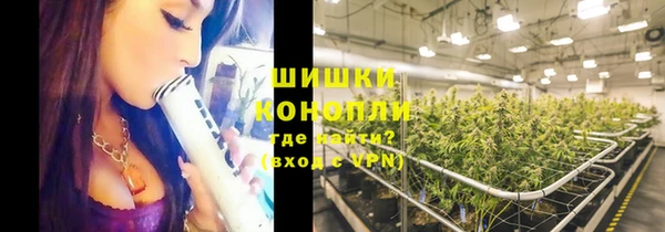 бутират Белокуриха