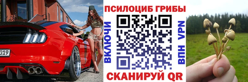 Псилоцибиновые грибы мицелий  Няндома 