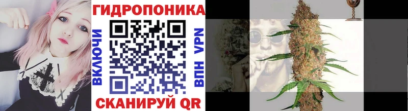 Конопля OG Kush  Няндома 